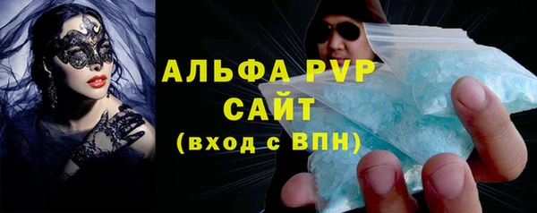 стаф Новокубанск
