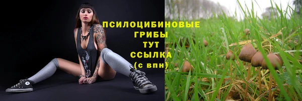 МДПВ Нефтекумск