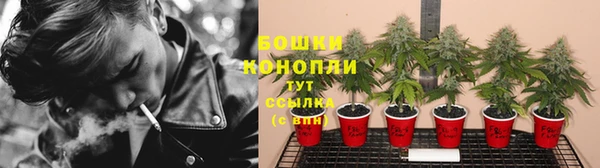 a pvp Новозыбков