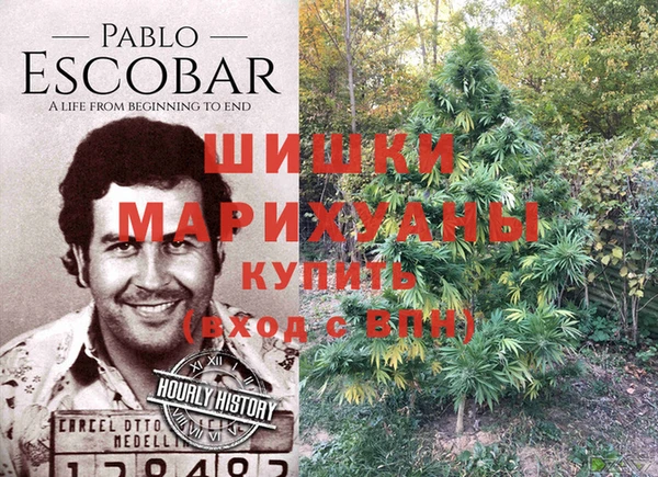a pvp Новозыбков