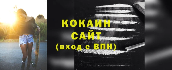 a pvp Новозыбков