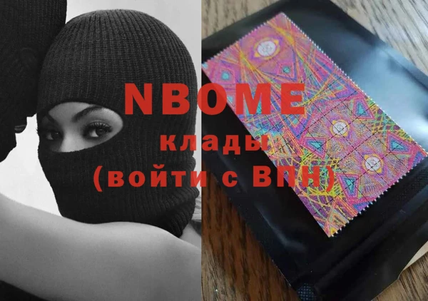 стаф Новокубанск