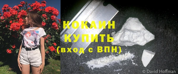 MESCALINE Новодвинск