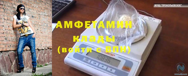 стаф Новокубанск