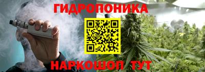 шишки Азнакаево