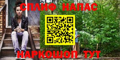 apvp Гусиноозёрск