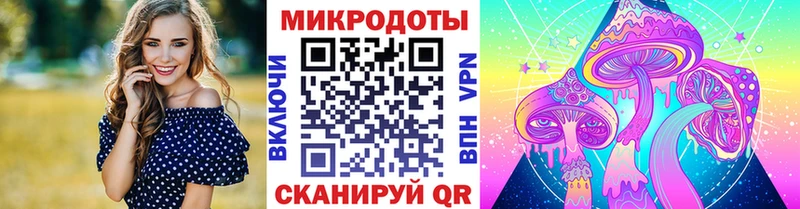 Галлюциногенные грибы Psilocybe Избербаш