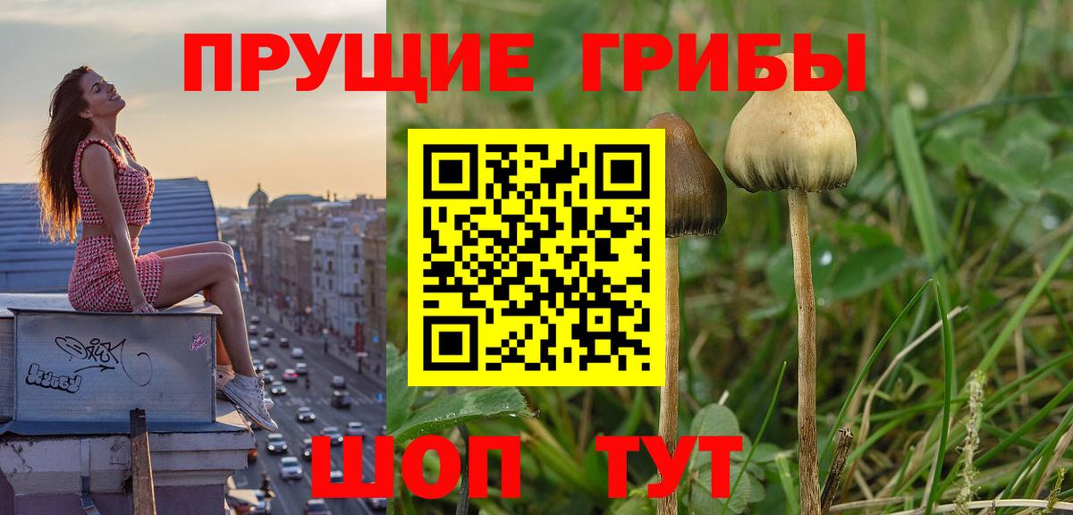 Галлюциногенные грибы Magic Shrooms Избербаш